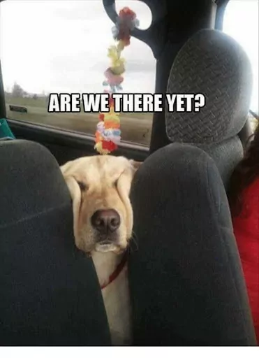 Are We There Yet Meme